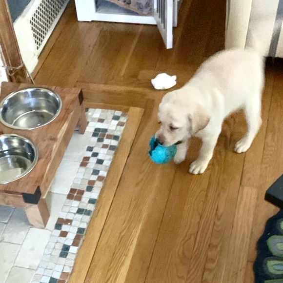 New sidekick trip to the lake .... - Picture 9 of 13